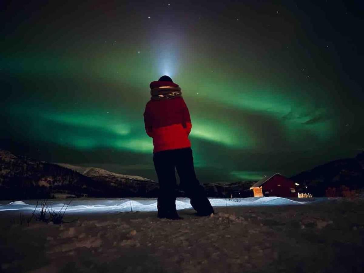 Luksustelt Storjord Glamping