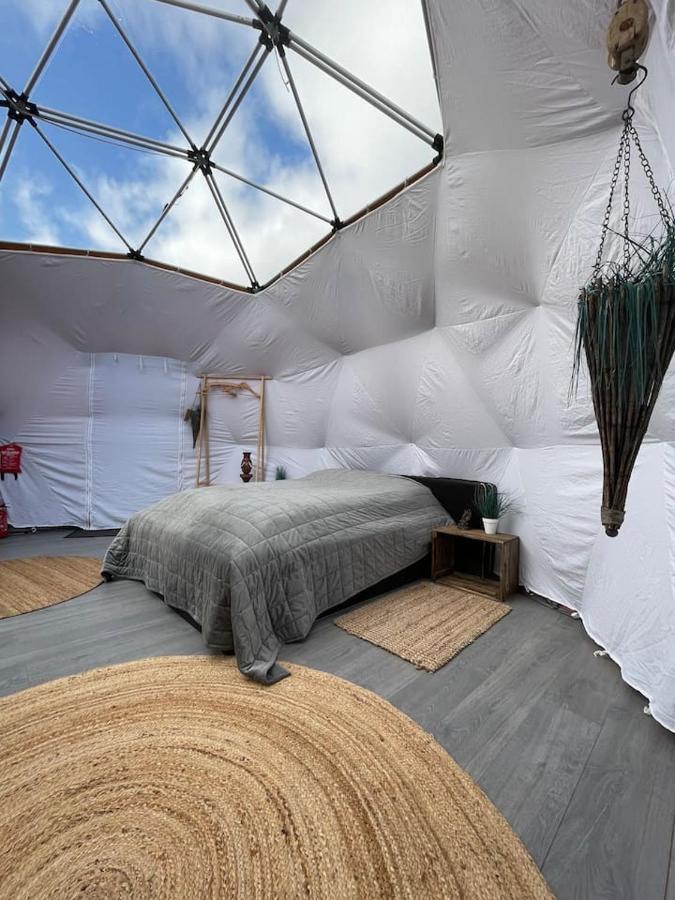 Storjord Glamping * Tromsø