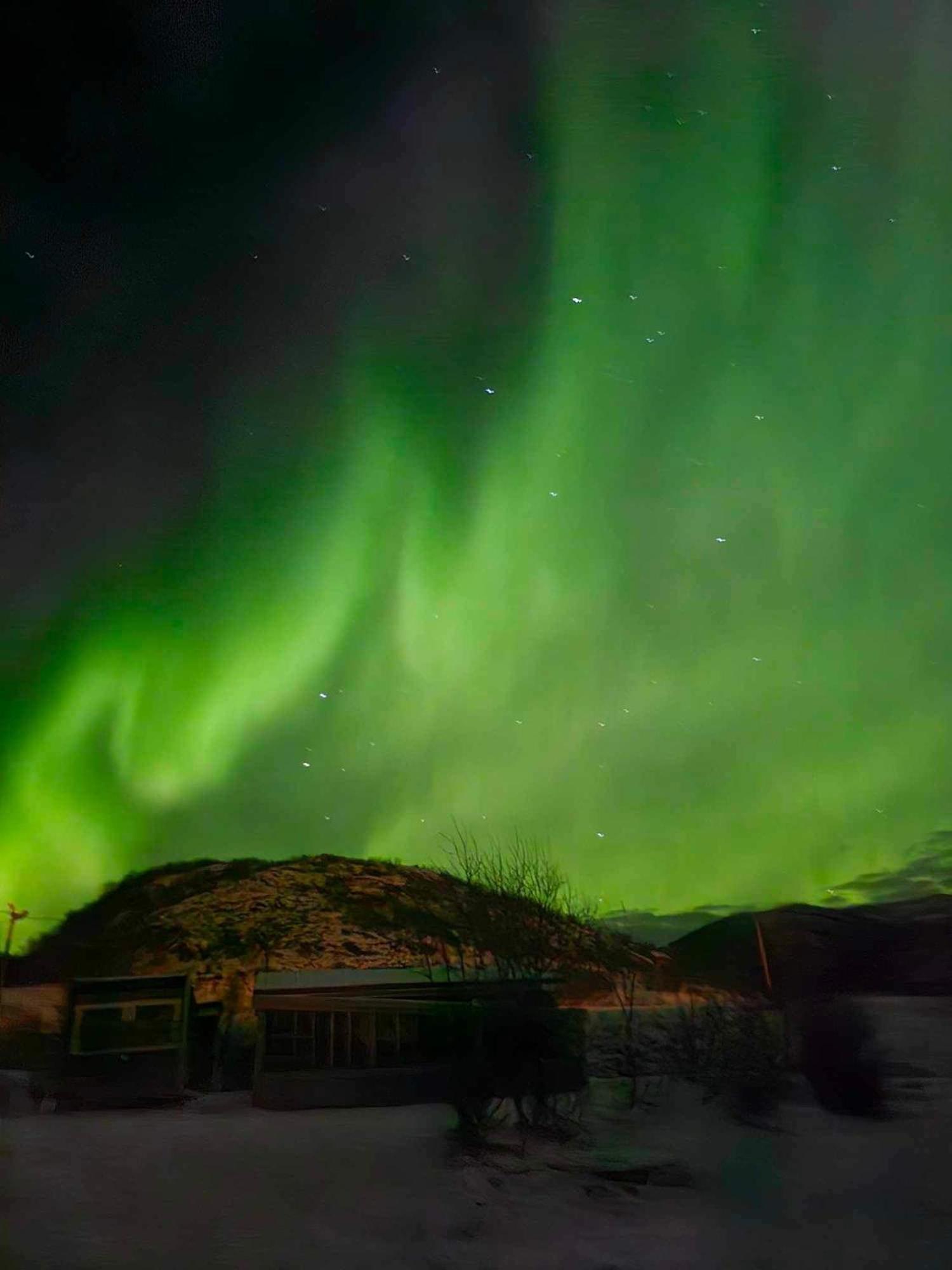 Lyxtält Storjord Glamping